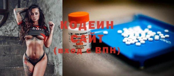 ГАЛЛЮЦИНОГЕННЫЕ ГРИБЫ Лагань
