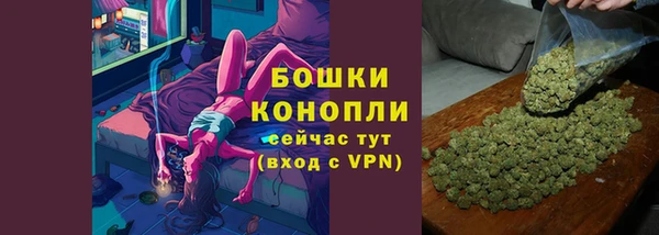 ГАЛЛЮЦИНОГЕННЫЕ ГРИБЫ Лагань