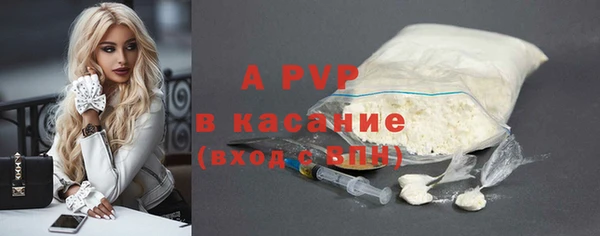 ГАЛЛЮЦИНОГЕННЫЕ ГРИБЫ Лагань