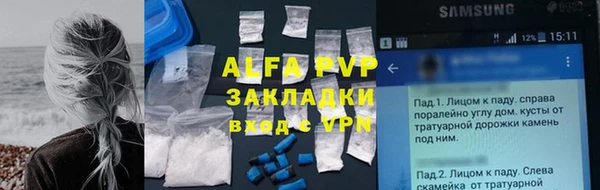 ГАЛЛЮЦИНОГЕННЫЕ ГРИБЫ Лагань
