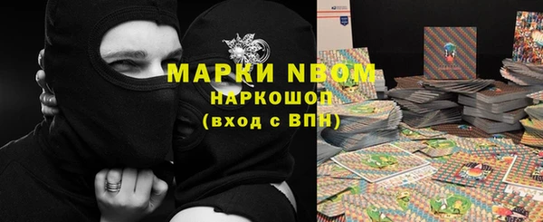 ГАЛЛЮЦИНОГЕННЫЕ ГРИБЫ Лагань