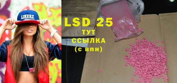 ГАЛЛЮЦИНОГЕННЫЕ ГРИБЫ Лагань