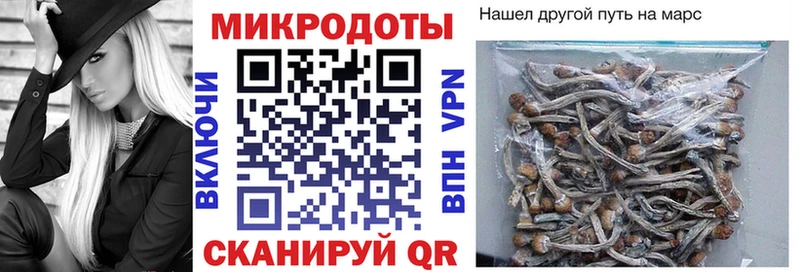 Псилоцибиновые грибы MAGIC MUSHROOMS Электросталь